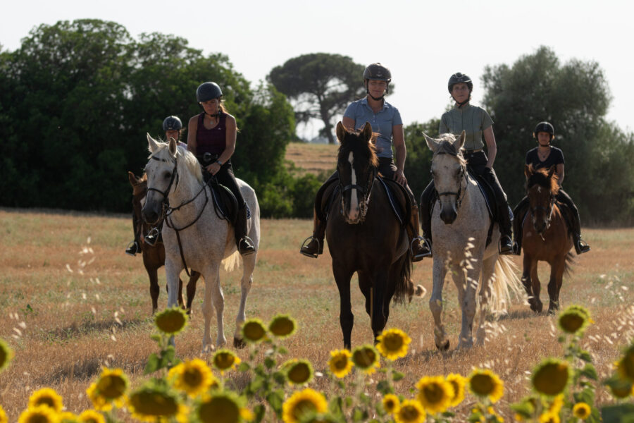 Train & Trail Ride, Andalucia, Spain - Globetrotting horse riding holidays