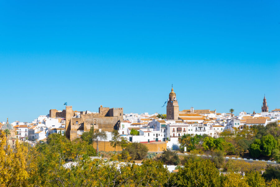 Train & Trail Ride, Andalucia, Spain - Globetrotting horse riding holidays