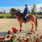 Dressage Ride, Andalusia, Spain - Globetrotting horse riding holidays