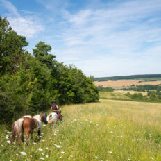 The Champagne Ride, France - Globetrotting horse riding holidays