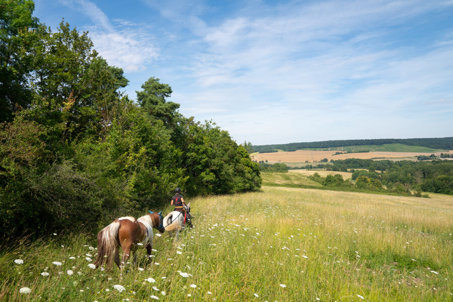 The Champagne Ride, France - Globetrotting horse riding holidays