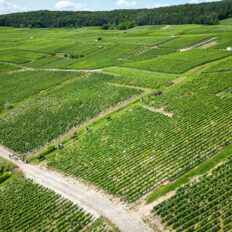The Champagne Ride, France - Globetrotting horse riding holidays
