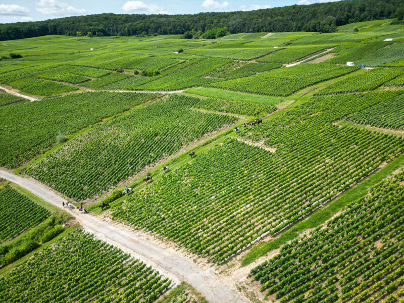 The Champagne Ride, France - Globetrotting horse riding holidays