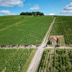 The Champagne Ride, France - Globetrotting horse riding holidays