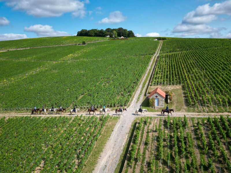 The Champagne Ride, France - Globetrotting horse riding holidays