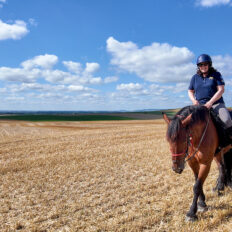 The Champagne Ride, France - Globetrotting horse riding holidays