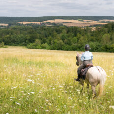 The Champagne Ride, France - Globetrotting horse riding holidays