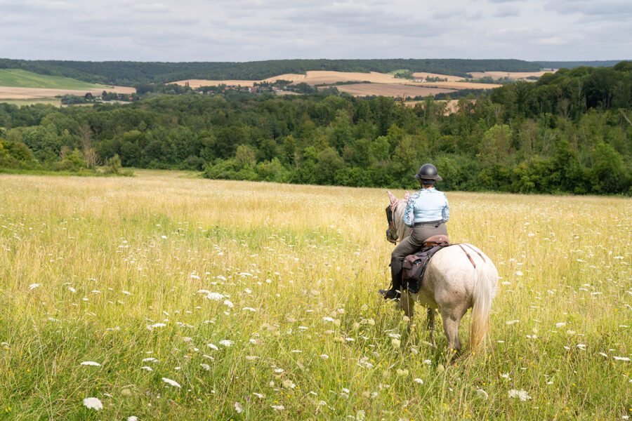 The Champagne Ride, France - Globetrotting horse riding holidays