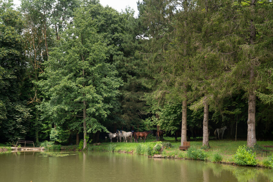 The Champagne Ride, France - Globetrotting horse riding holidays