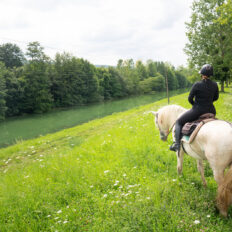 The Champagne Ride, France - Globetrotting horse riding holidays