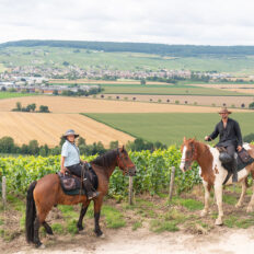 The Champagne Ride, France - Globetrotting horse riding holidays