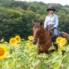 The Champagne Ride, France - Globetrotting horse riding holidays