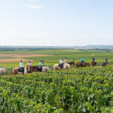 The Champagne Ride, France - Globetrotting horse riding holidays