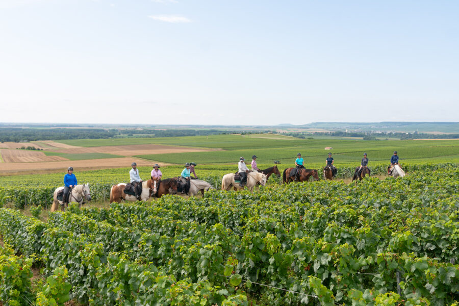 The Champagne Ride, France - Globetrotting horse riding holidays