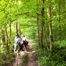 The Champagne Ride, France - Globetrotting horse riding holidays