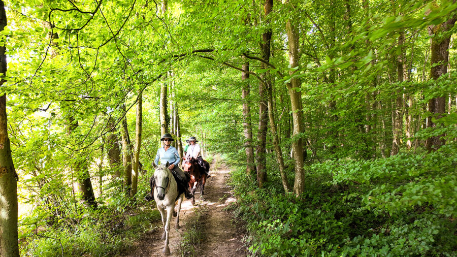 The Champagne Ride, France - Globetrotting horse riding holidays