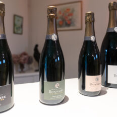 The Champagne Ride, France - Globetrotting horse riding holidays