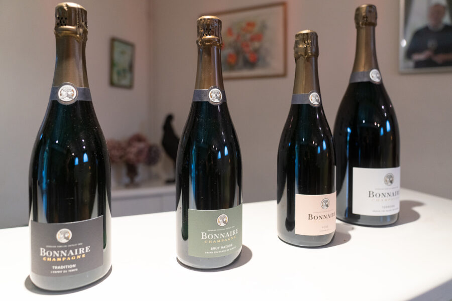 The Champagne Ride, France - Globetrotting horse riding holidays