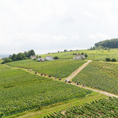 The Champagne Ride, France - Globetrotting horse riding holidays