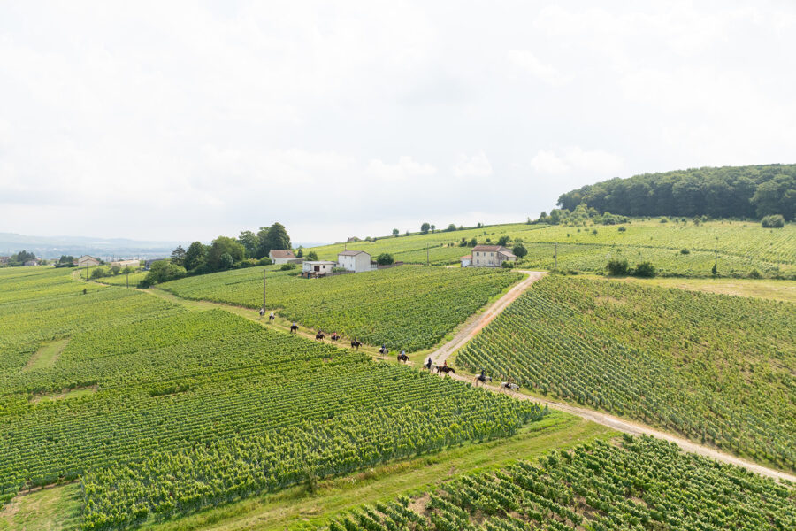 The Champagne Ride, France - Globetrotting horse riding holidays