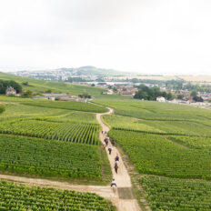 The Champagne Ride, France - Globetrotting horse riding holidays