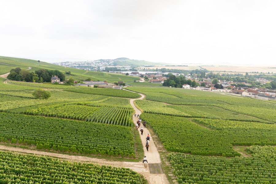 The Champagne Ride, France - Globetrotting horse riding holidays