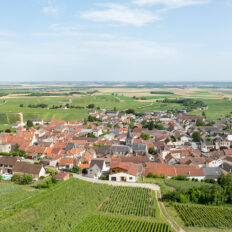 The Champagne Ride, France - Globetrotting horse riding holidays
