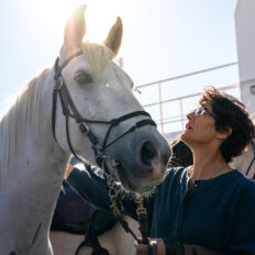 Bordeaux Wine Trail, France - Globetrotting horse riding holidays
