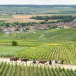 The Champagne Ride, France - Globetrotting horse riding holidays
