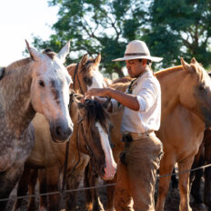 Corrientes, Argentina - Globetrotting horse riding holidays