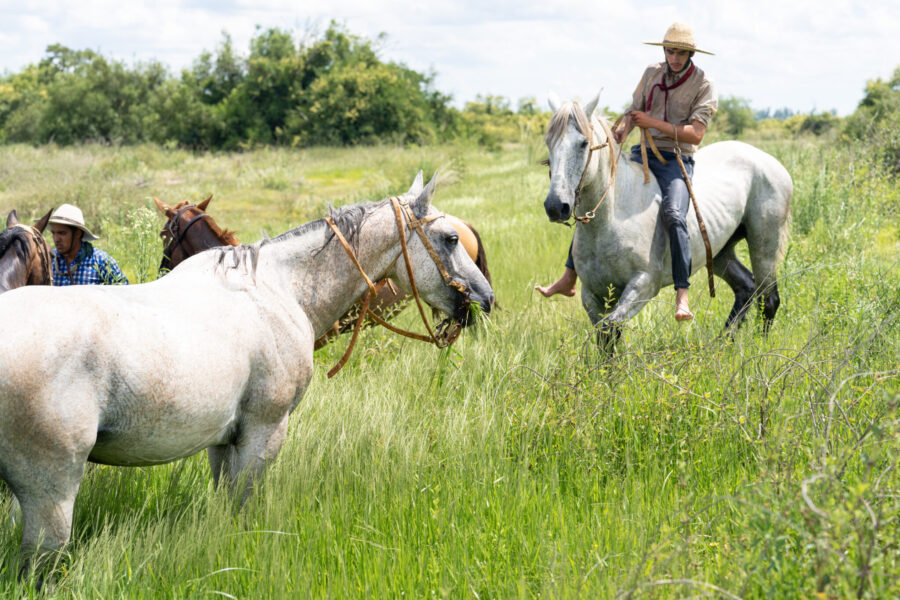 Corrientes, Argentina - Globetrotting horse riding holidays