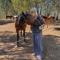 The Kosciuszko Ride, Australia, Globetrotting Horse Riding Holidays