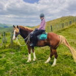 The River Valley Ride, New Zealand, Globetrotting Horse Riding Holiday