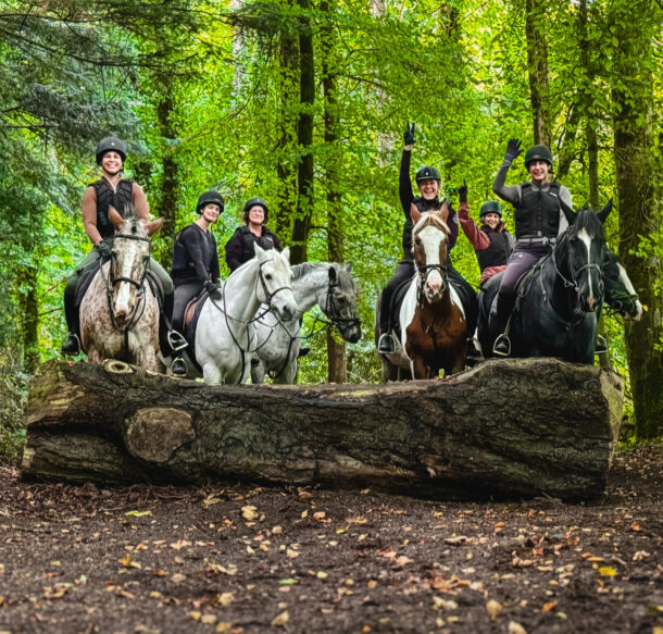 Castle & Estate Ride, Ireland, Globetrotting Horse Riding Holidays