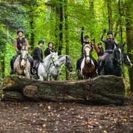 Castle & Estate Ride, Ireland, Globetrotting Horse Riding Holidays