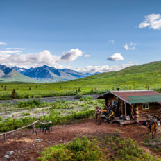 Alaska, USA - Globetrotting horse riding holidays