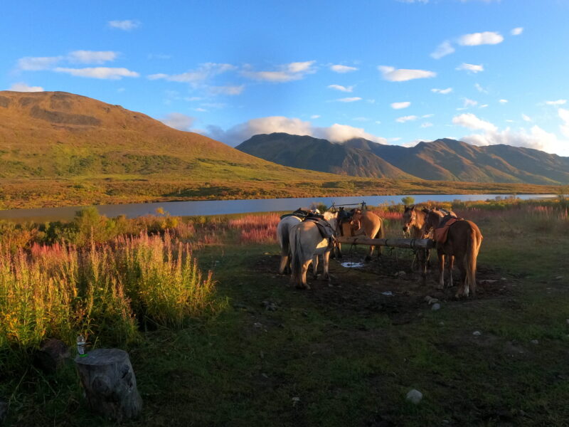 Alaska, USA - Globetrotting horse riding holidays