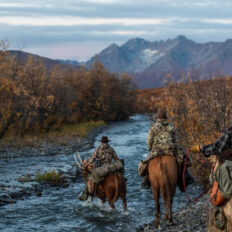Alaska, USA - Globetrotting horse riding holidays