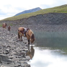 Alaska, USA - Globetrotting horse riding holidays