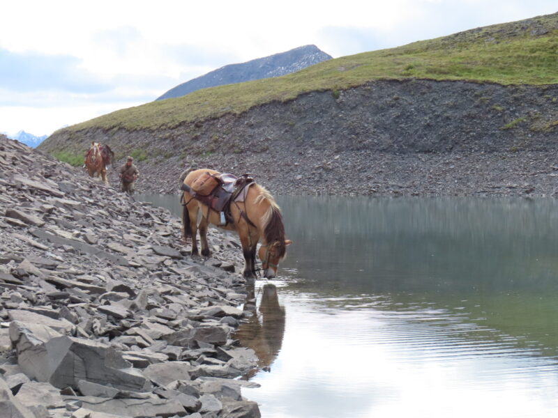 Alaska, USA - Globetrotting horse riding holidays
