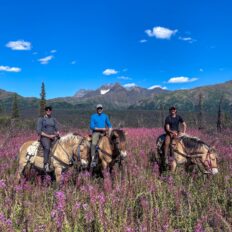 Alaska, USA - Globetrotting horse riding holidays
