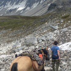 Alaska, USA - Globetrotting horse riding holidays