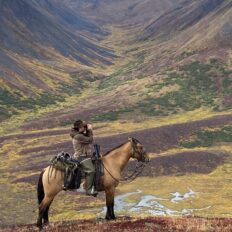 Alaska, USA - Globetrotting horse riding holidays