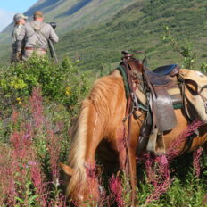 Alaska, USA - Globetrotting horse riding holidays
