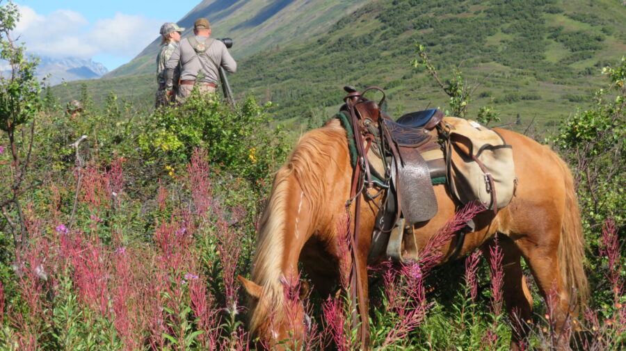 Alaska, USA - Globetrotting horse riding holidays