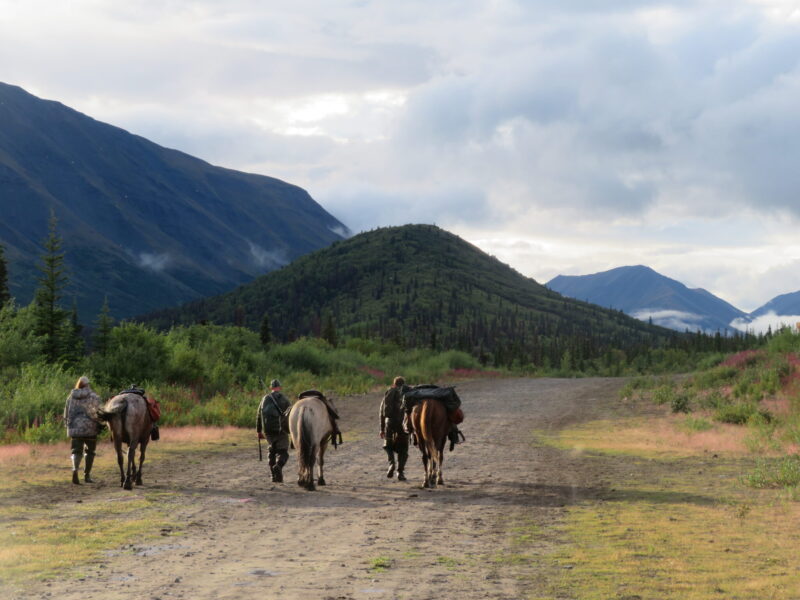 Alaska, USA - Globetrotting horse riding holidays
