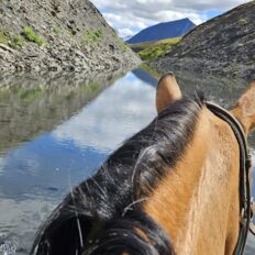 Alaska, USA - Globetrotting horse riding holidays
