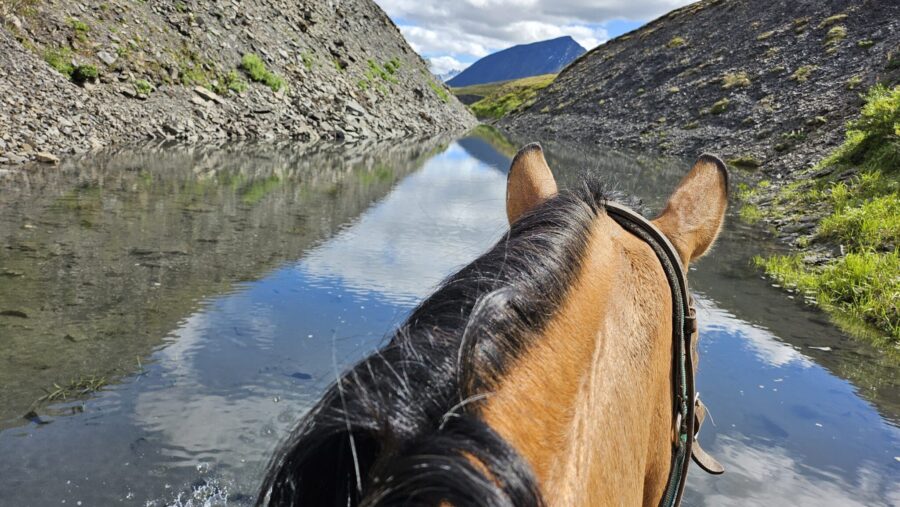 Alaska, USA - Globetrotting horse riding holidays