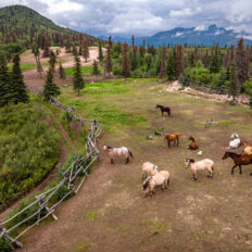 Alaska, USA - Globetrotting horse riding holidays