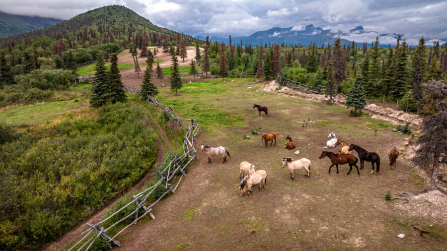 Alaska, USA - Globetrotting horse riding holidays